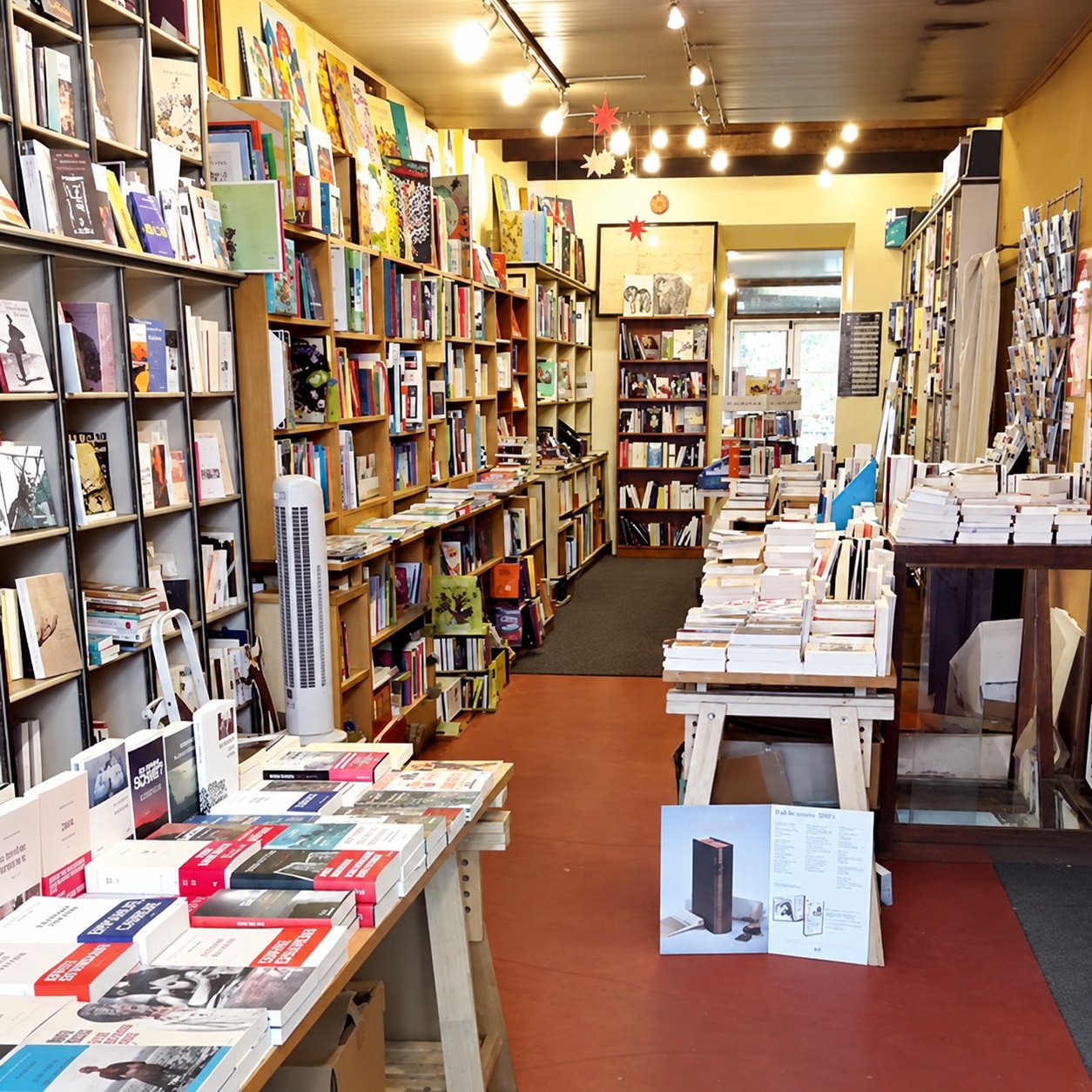 L'intérieur de la librairie, la guirlande d'ampoules et les rayonnages